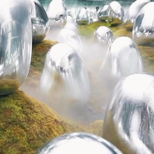 Modern Art

Take in dazzling world-class digital art at teamLab’s incomparable Planets exhibition in Toyosu.