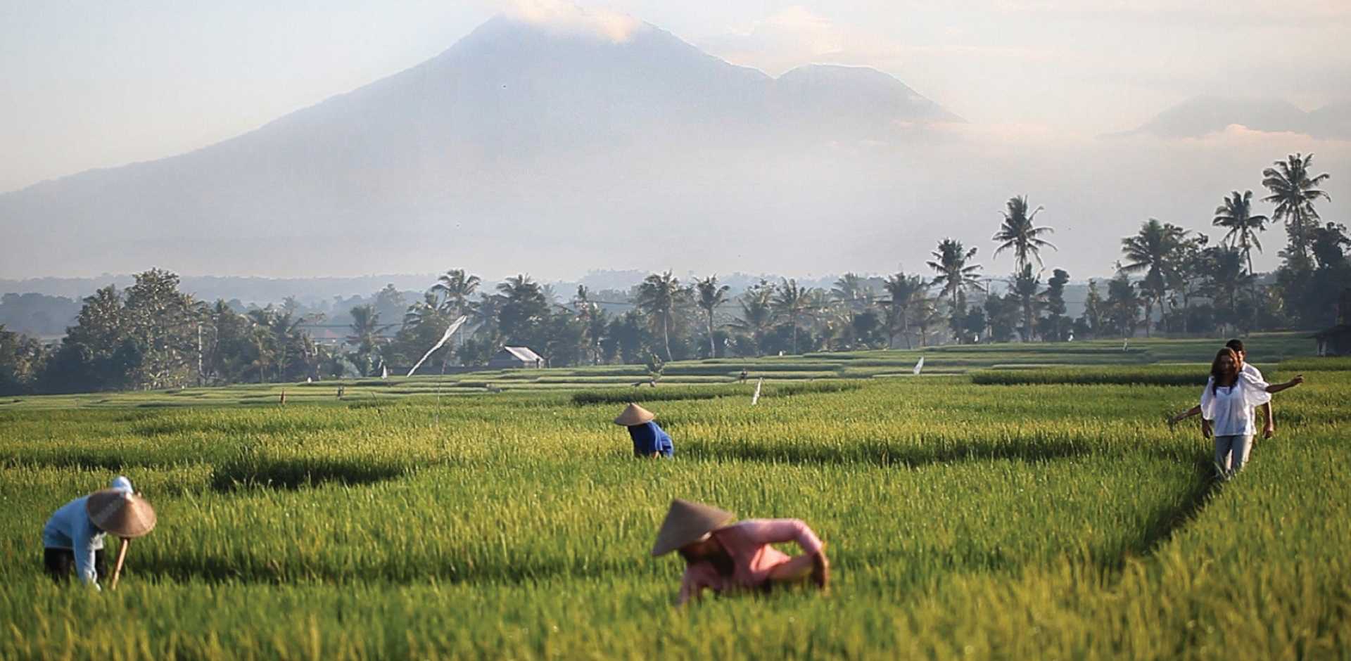 Soori Bali