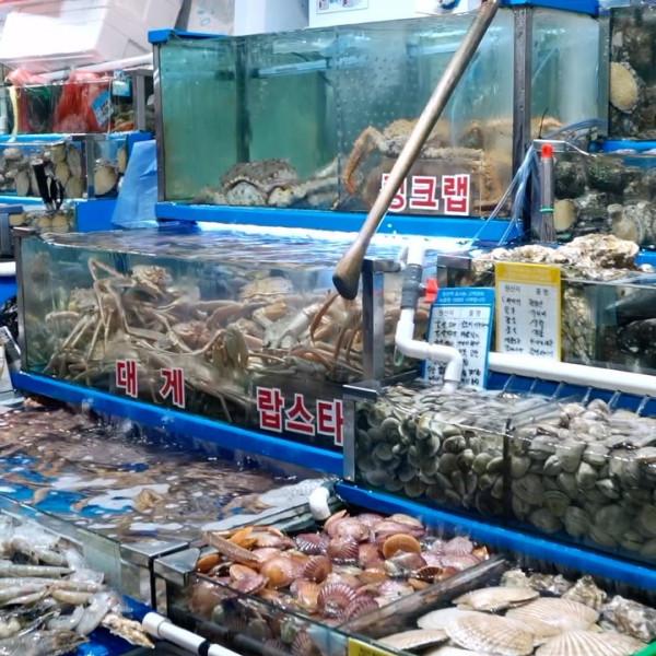 🇰🇷 K O R E A 🇰🇷
Noryangjin is the go-to seafood market in Seoul, not only for visitors and residents but for high-end restaurants too. The variety is incredible. Sourced both locally and internationally, fresh and live seafood is sold by weight and then sent to restaurants upstairs where it’s prepared however you like it. Best enjoyed with plentiful soju! Here, we tried the in-season snow crab, fresh abalone, prawns, and white fish sashimi.

Intrigued? Contact Remote Lands for highly-curated Korea travel experiences.