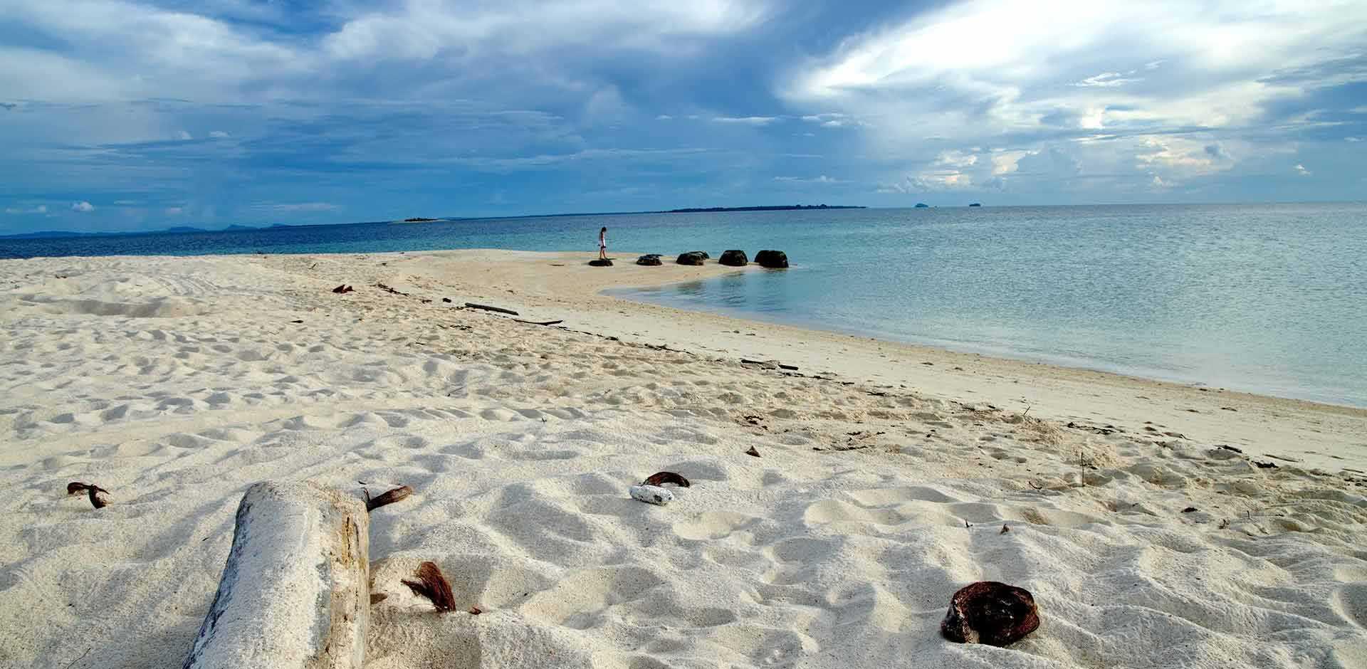 Selingan Turtle Island 