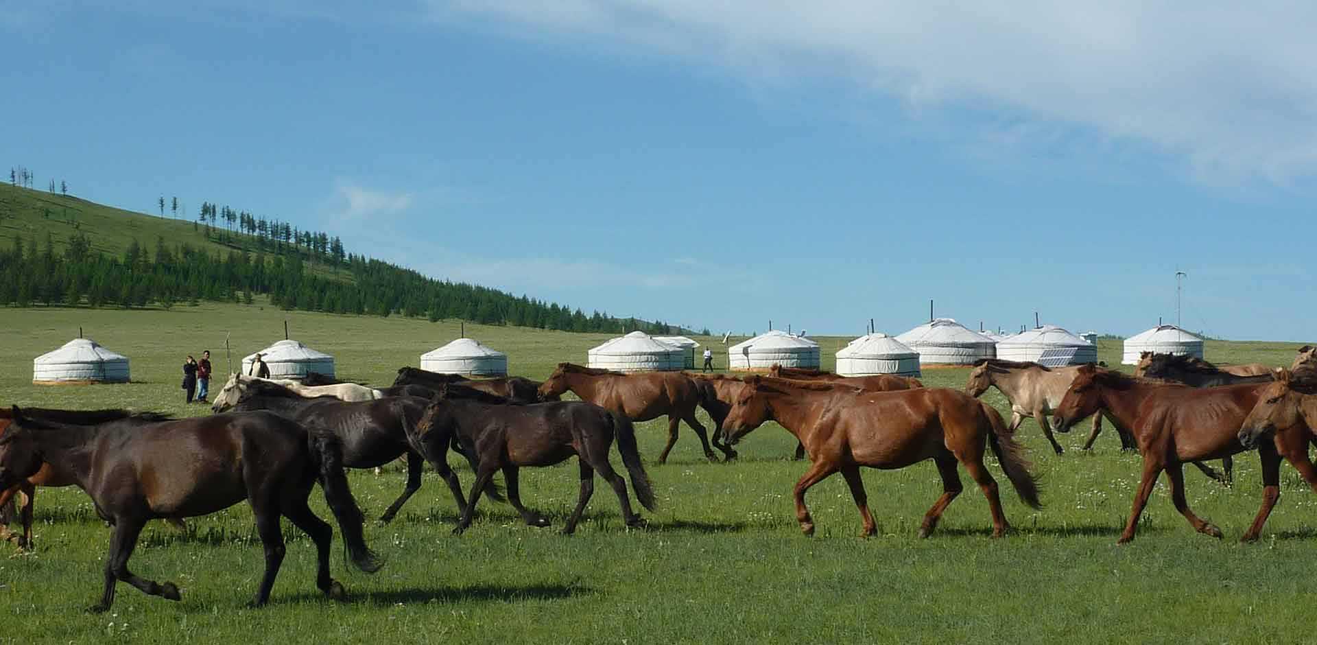 Khan Khentii 