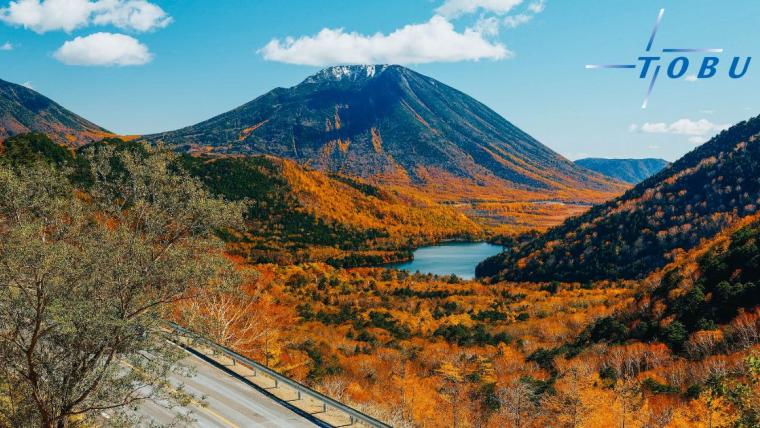 Tochigi’s Towering Heights: The Very Best of the Charismatic Japanese Region