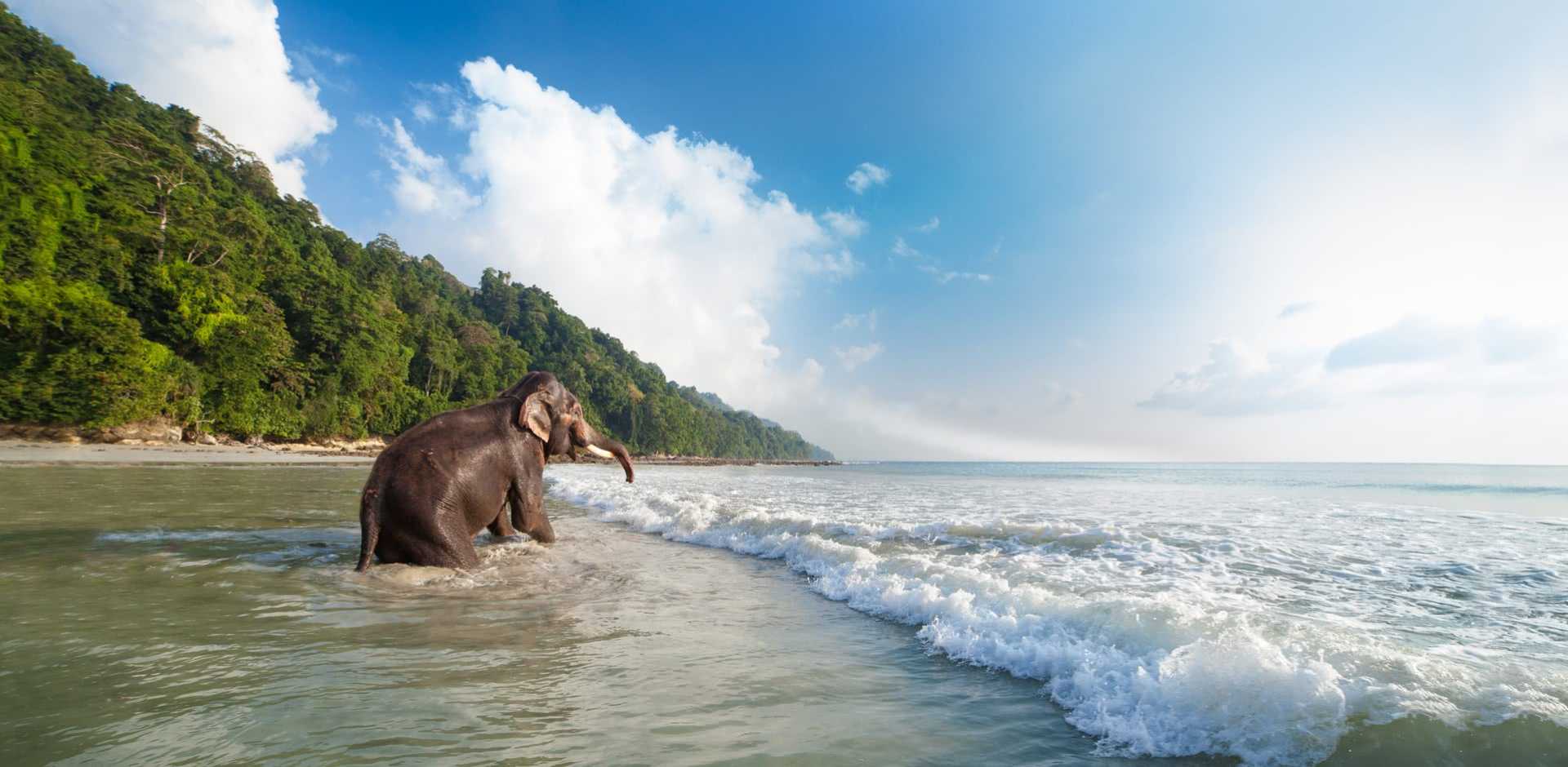 Andaman And Nicobar Islands