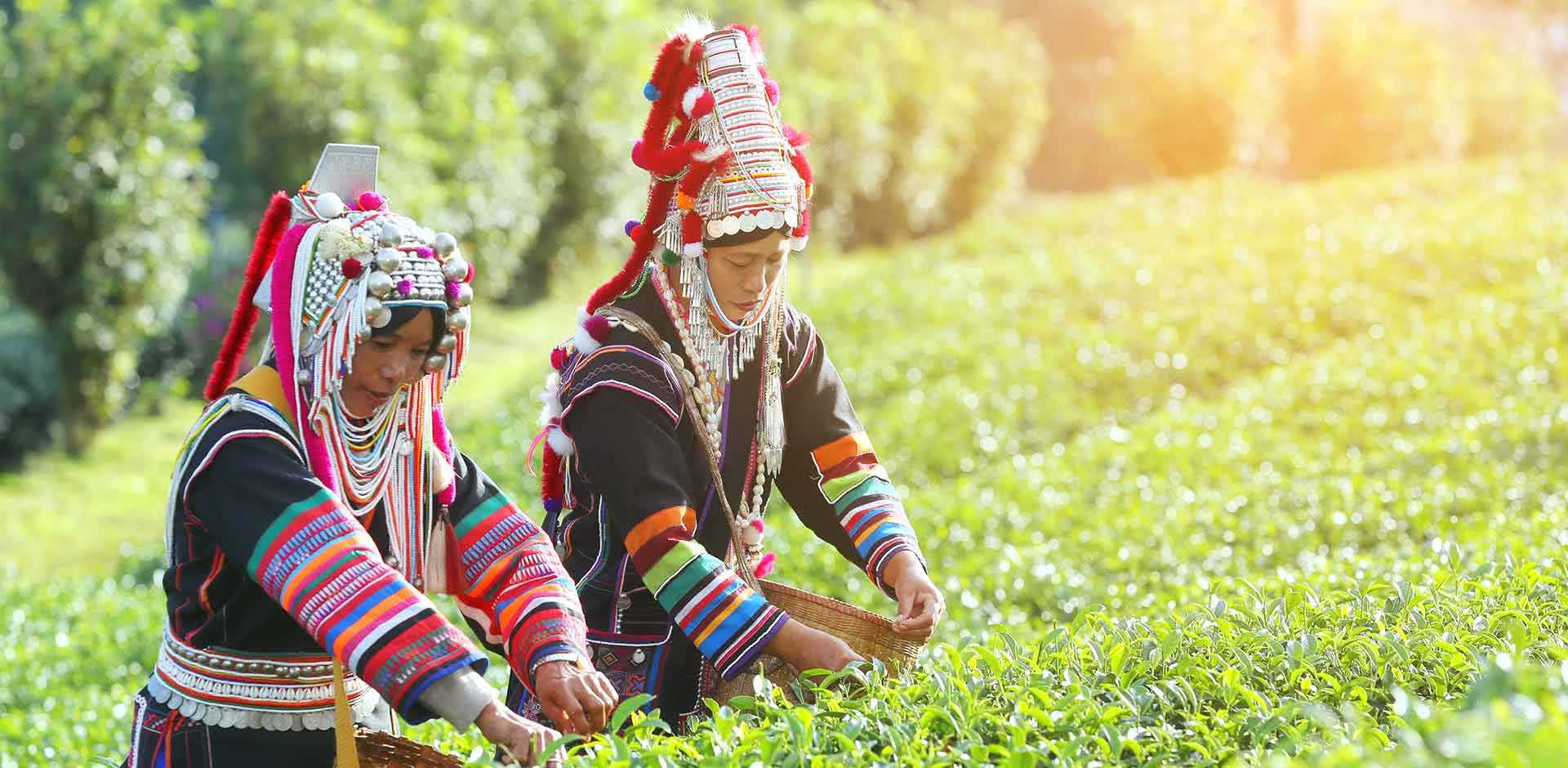 Chiang Rai