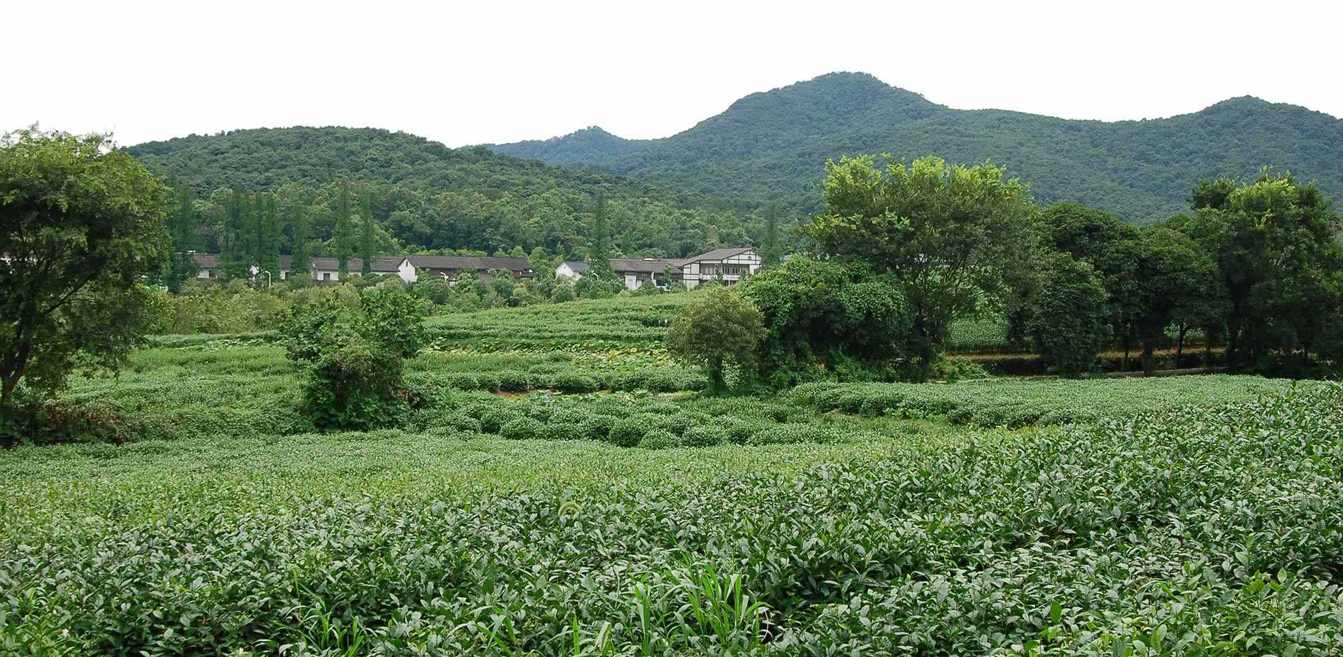 Hangzhou