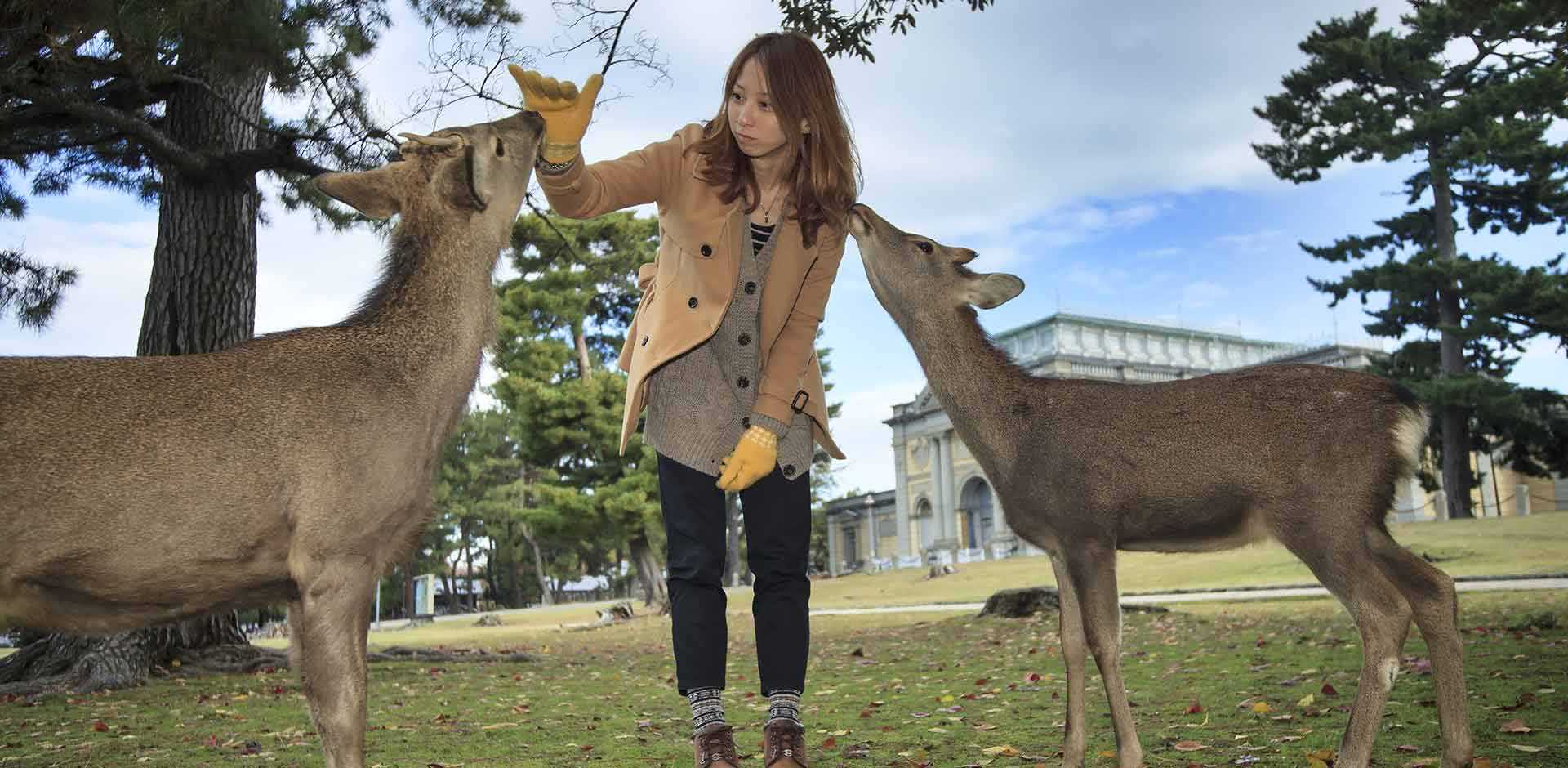Nara