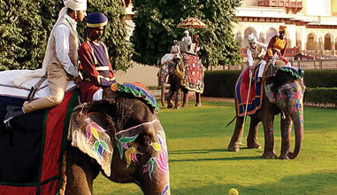 Sports and Activities
