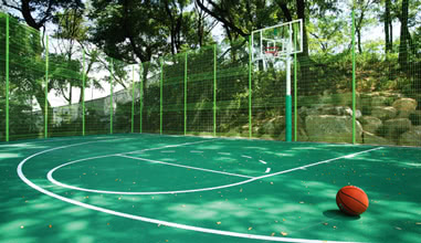 Basketball
