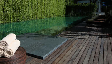 The Swimming Pool