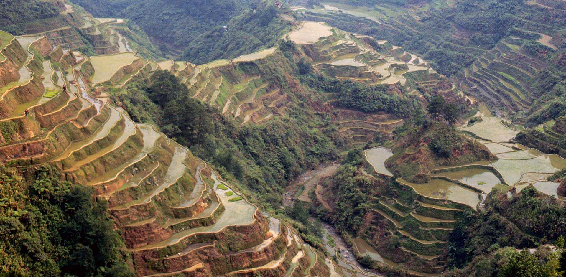 Banaue