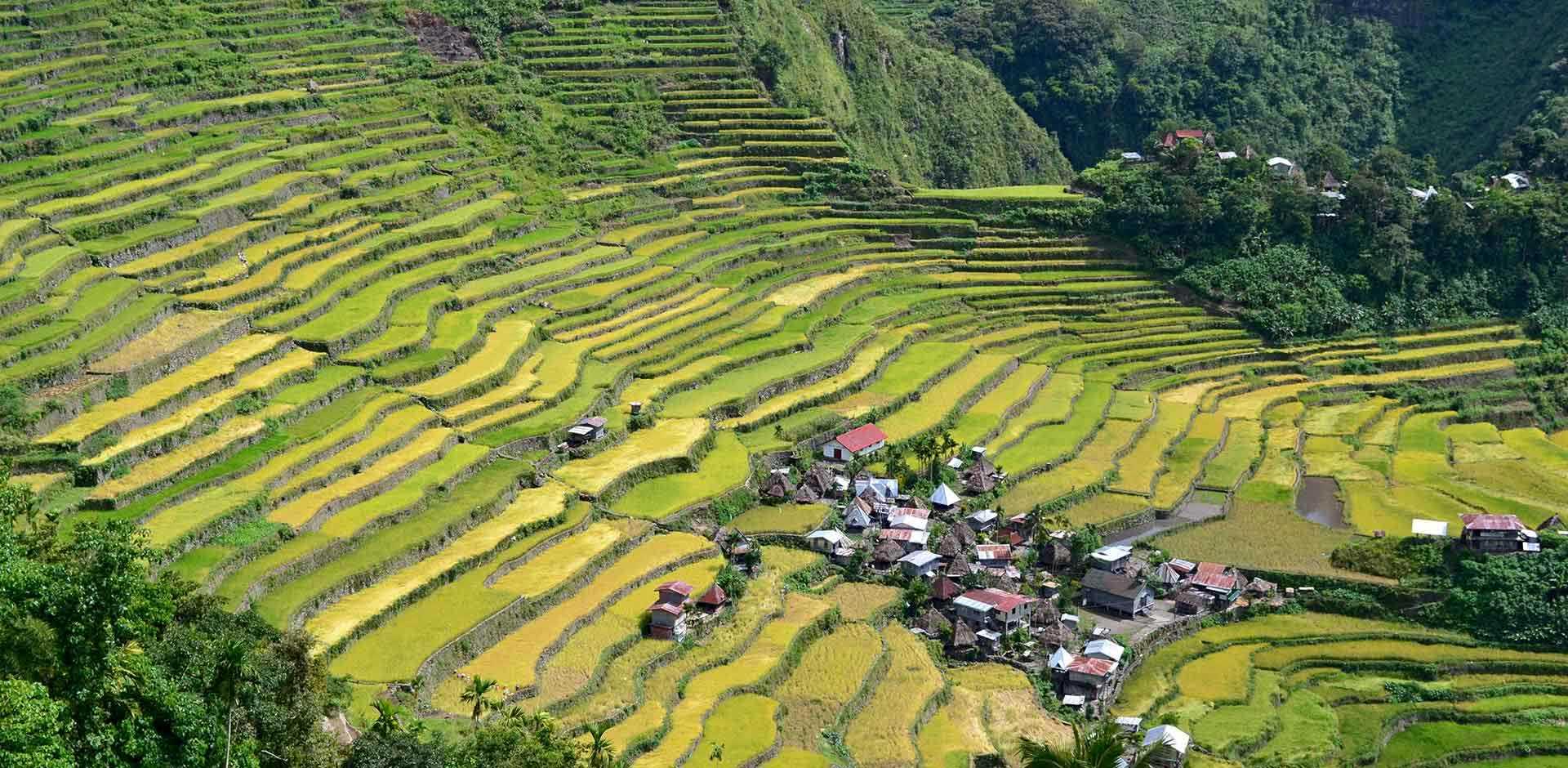 Banaue