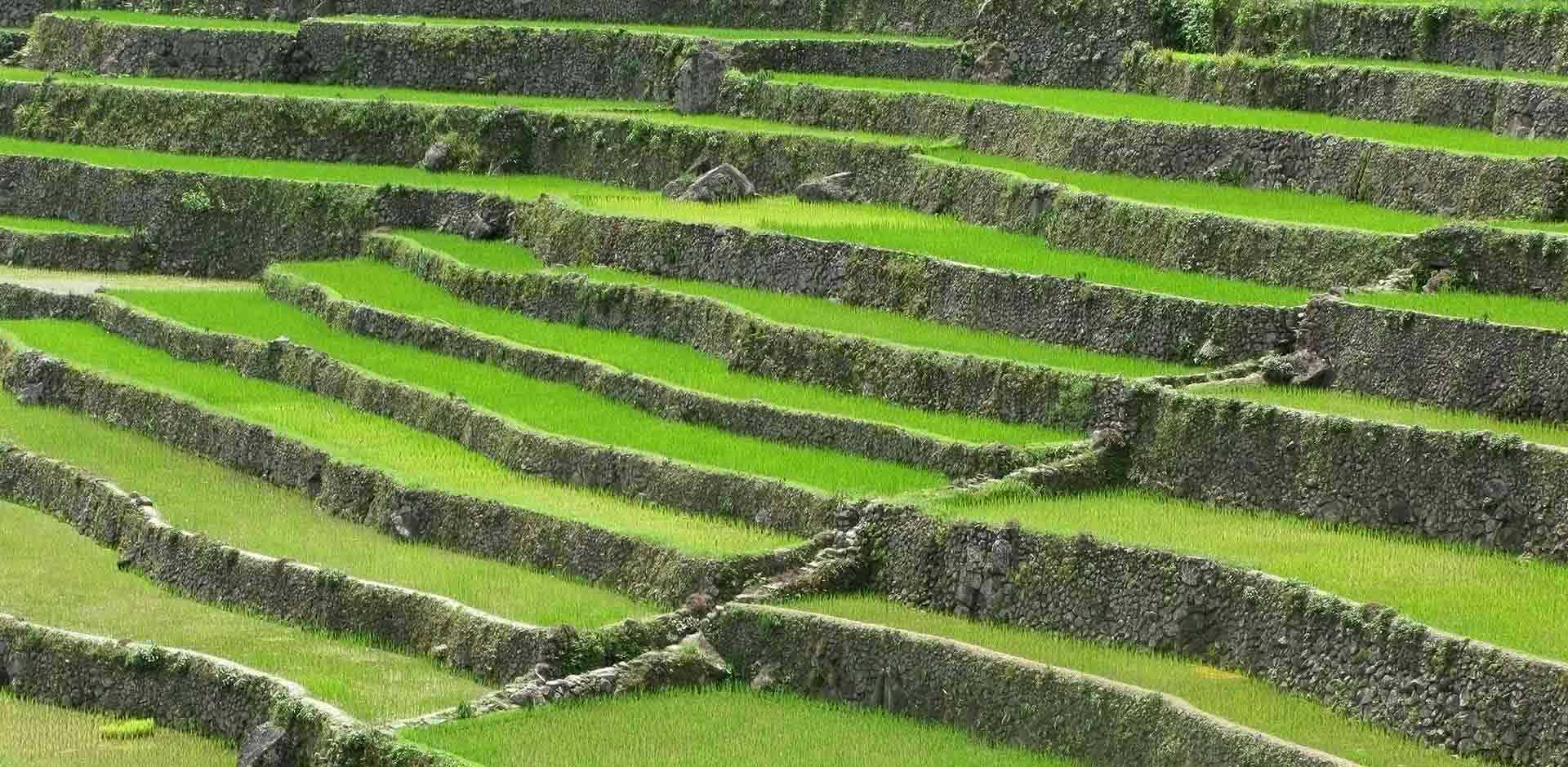 Banaue