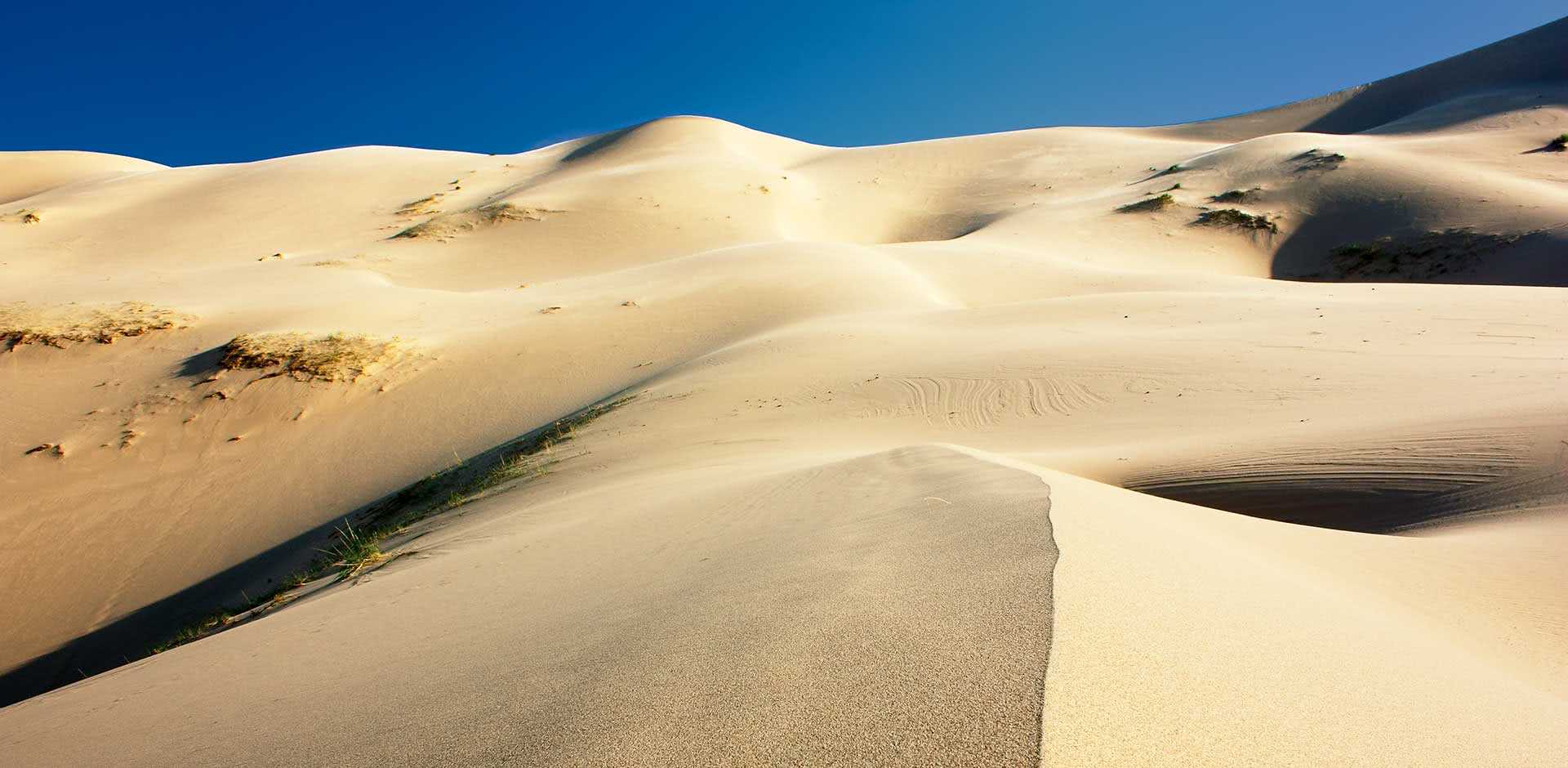 Gobi Desert