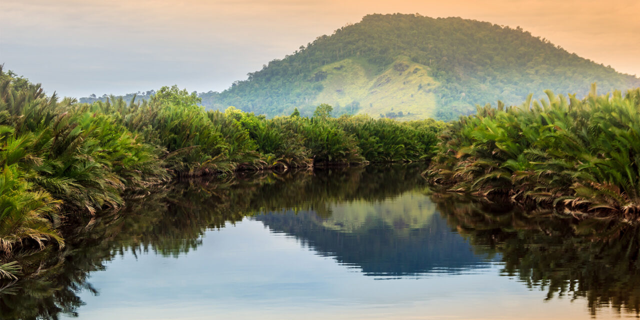 fraktion udvide Rød dato Asia's Top 5 Jungle River Adventure Destinations - Travelogues from Remote  Lands