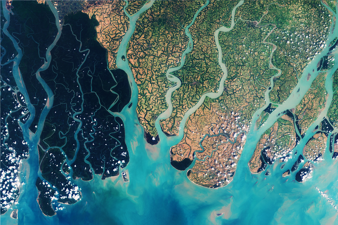 Sundarbans2