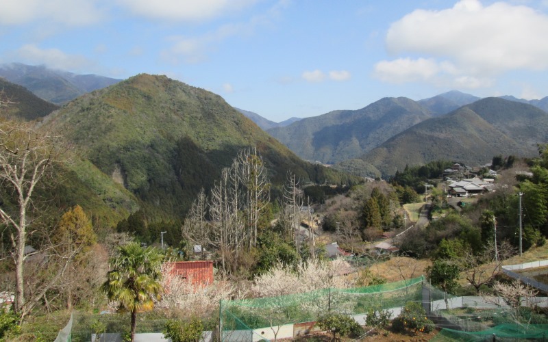 Beautiful views on the Kumano Kodu hike