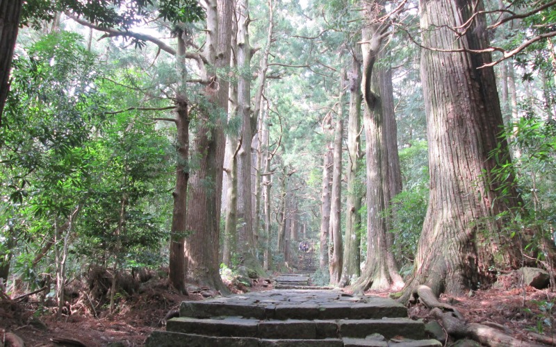 Daimonzaka Slope