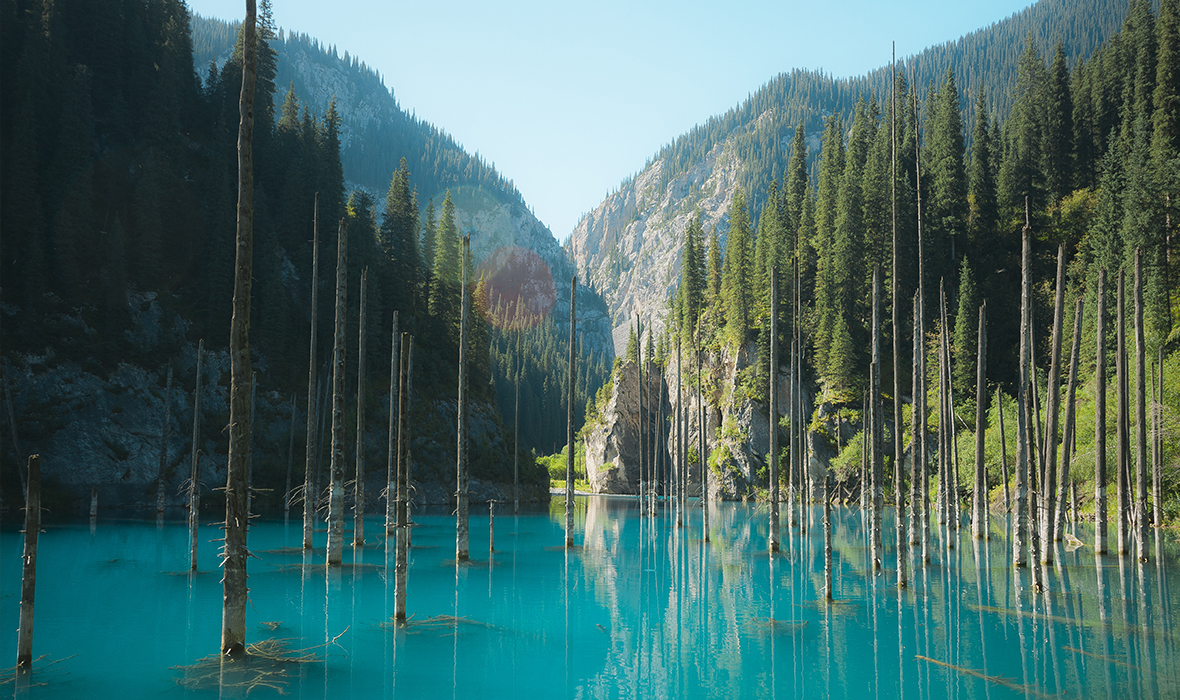 shutterstock_624493301