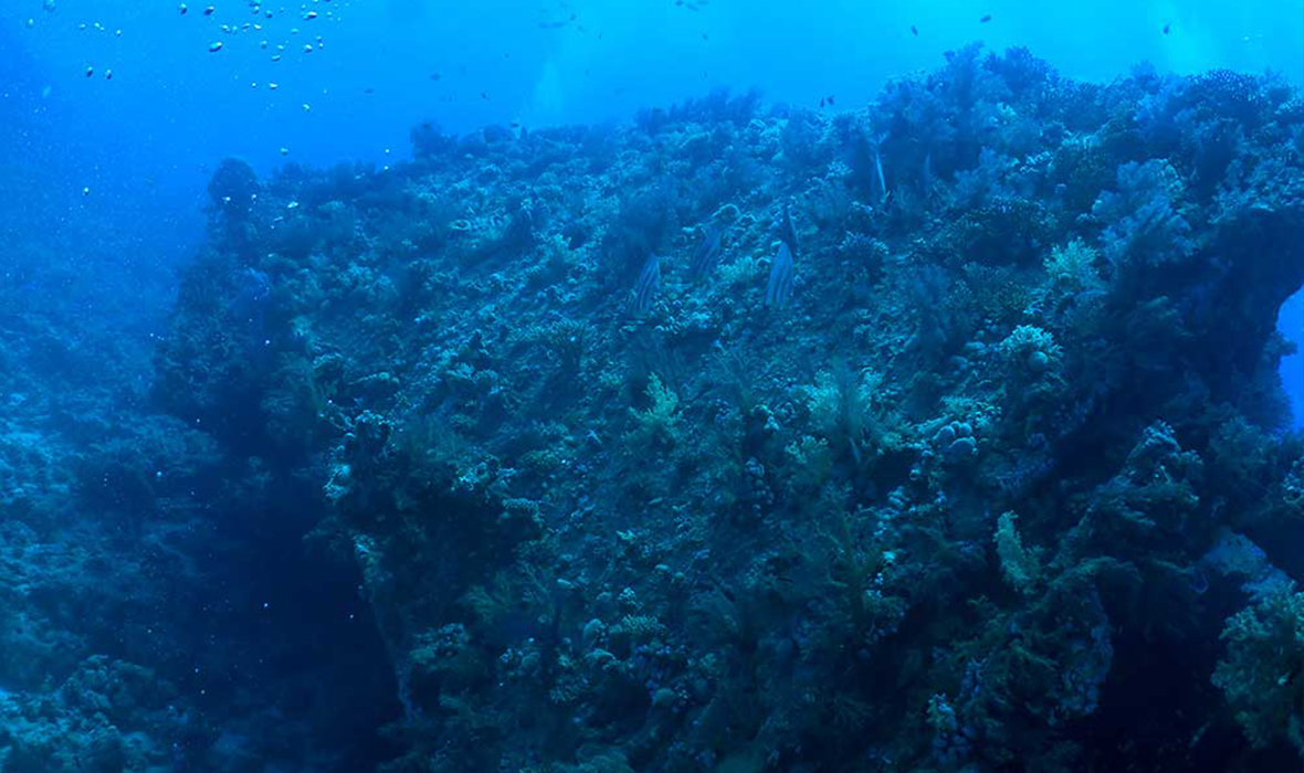 wreck-daymaniyat