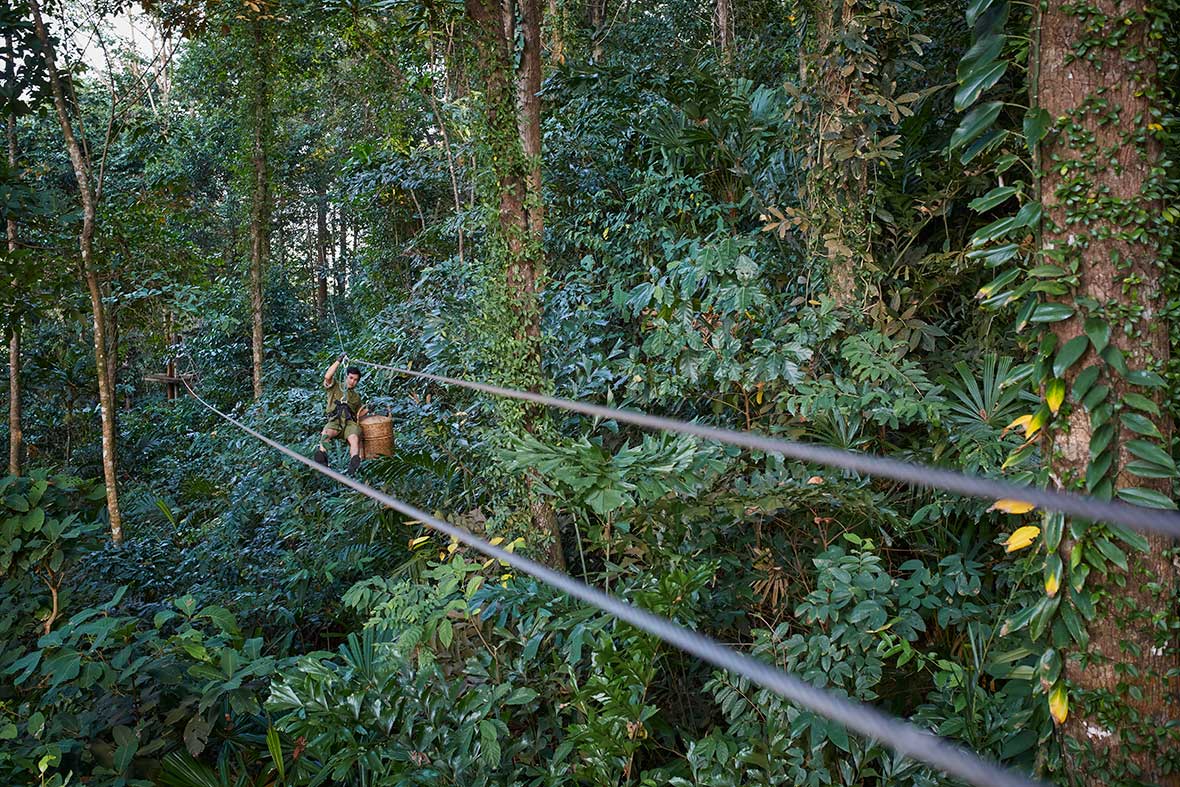 Tree-Pod-service-2---Soneva-kiri-by-Jorg-Sundermann