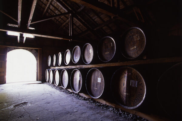 gallery_yoichi_b2_13_l gallery_yoichi_b2_13_l