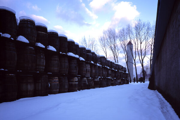 gallery_yoichi_b2_17_l gallery_yoichi_b2_17_l
