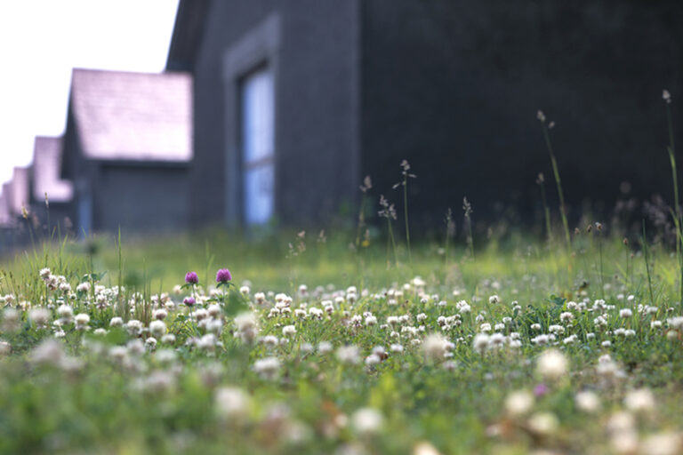 gallery_yoichi_b2_8_l gallery_yoichi_b2_8_l