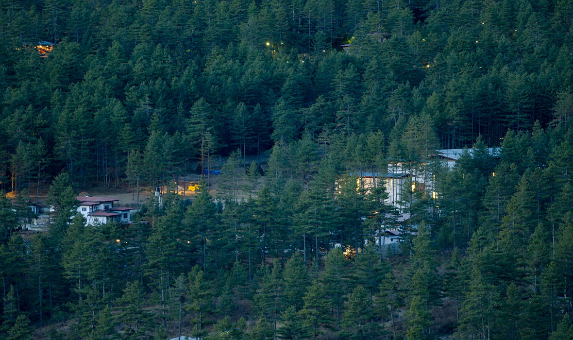 Thimphu Exterior_Forest