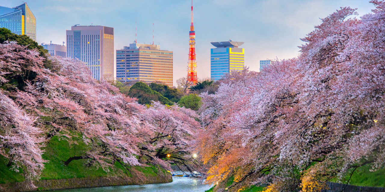 When to See Japan’s Cherry Blossoms and Where to Stay Travelogues