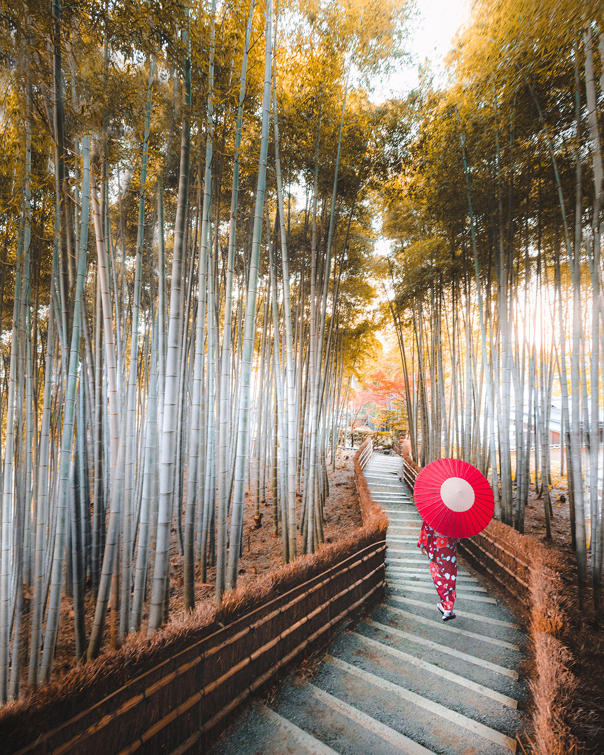 Arashiyama 2