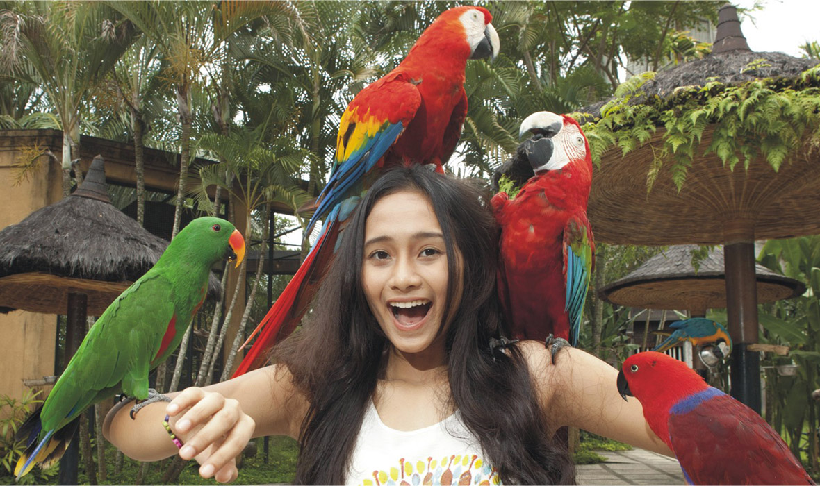 header-1118428439