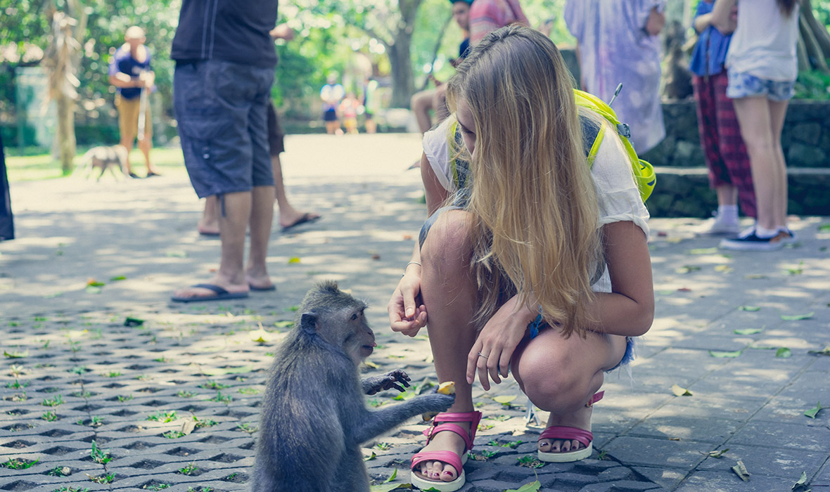 shutterstock_372813886