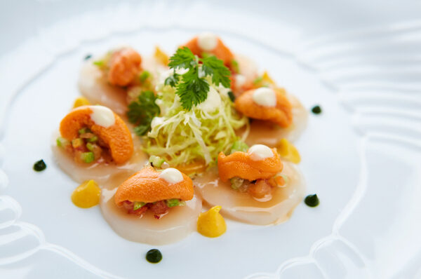 Scallop with sea urchins