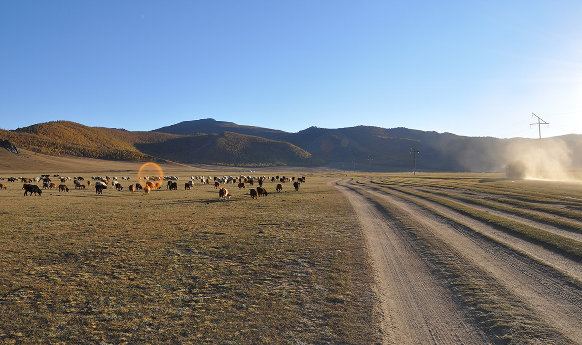 Mongolie -