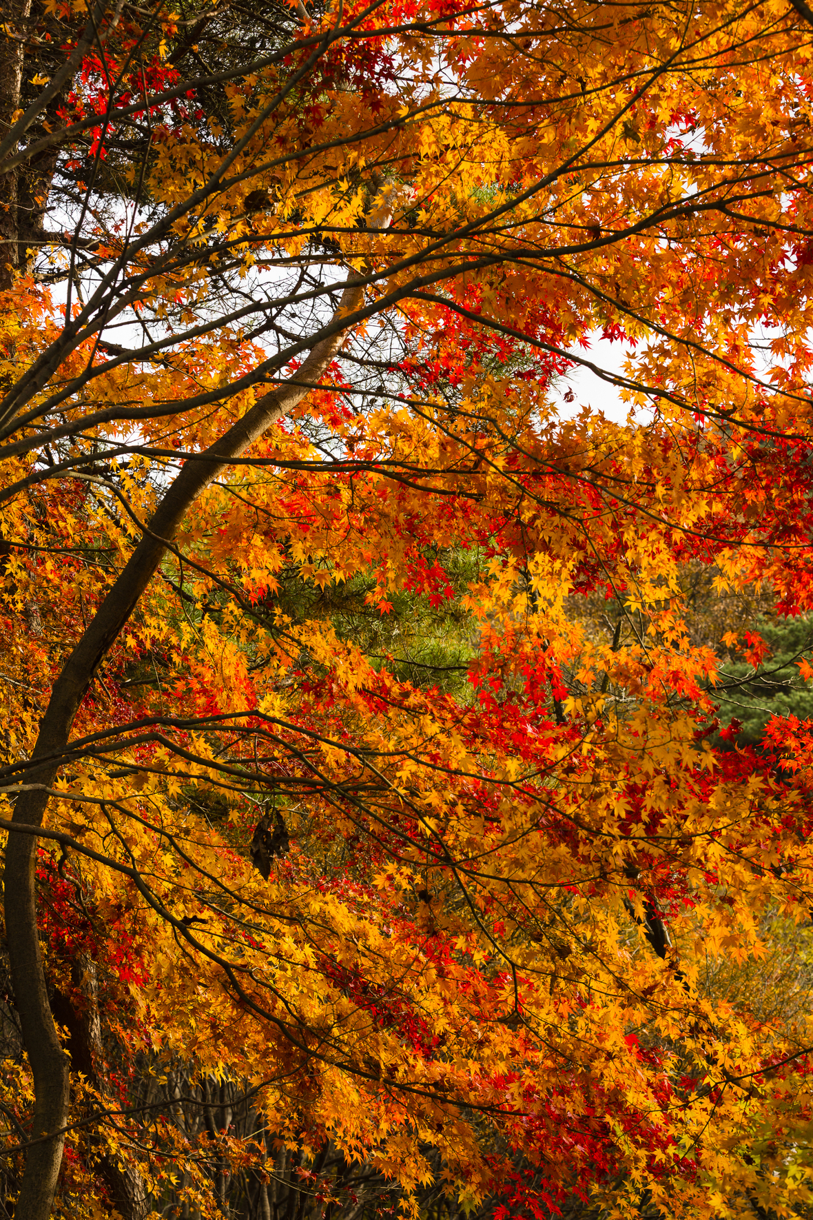 Mudeungsan National Park