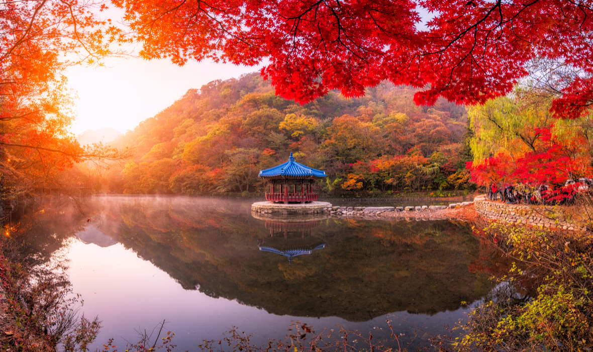 Naejangsan national park