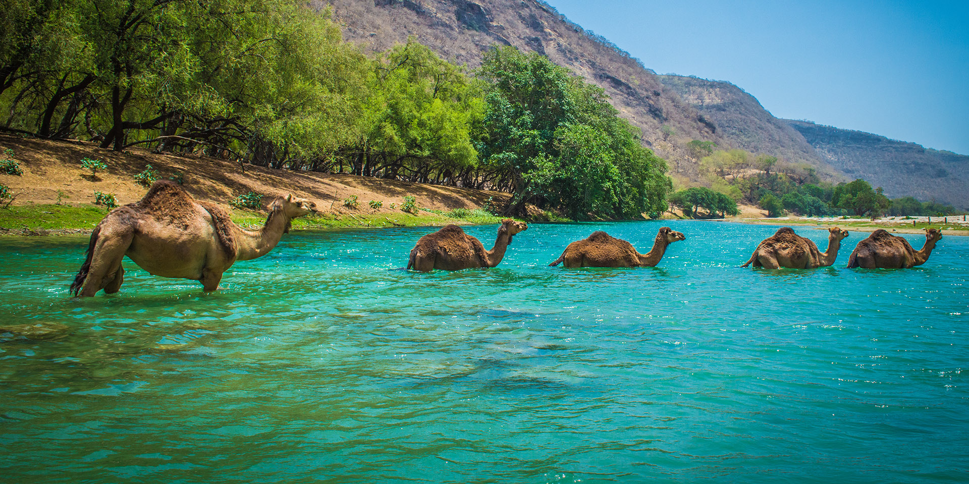 4 Reasons You Don t Want To Miss Salalah This Fall Travelogues From 4 Reasons You Don t Want To Miss Salalah This Fall Travelogues From