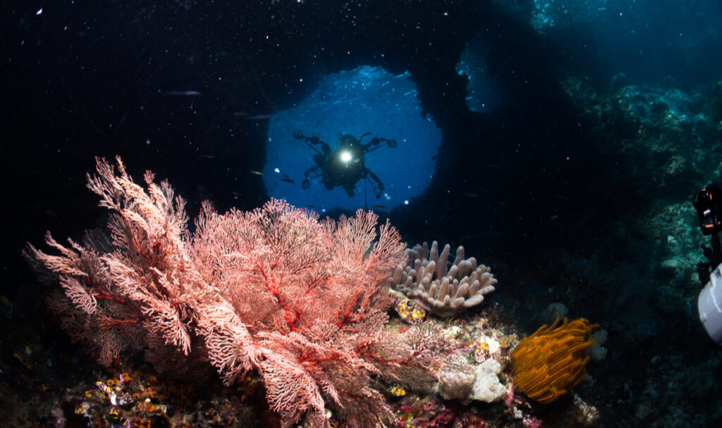 5 Places to Plan Your Winter Dive in Asia - Travelogues from Remote Lands