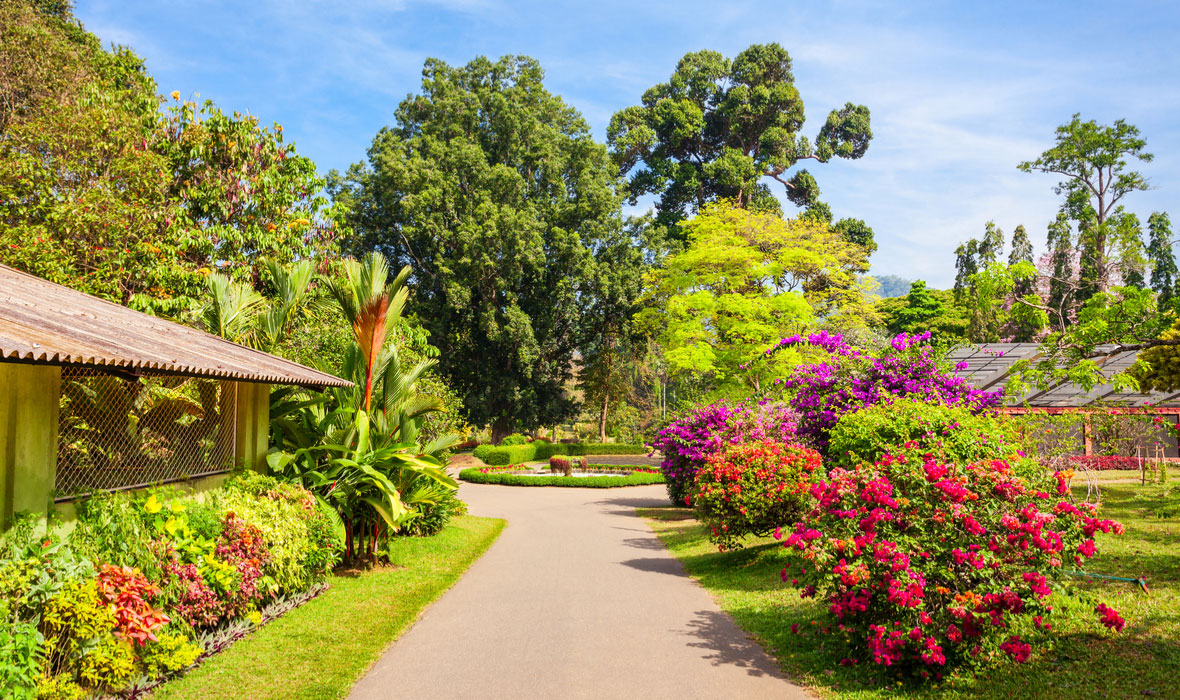 Botanic-Gardens