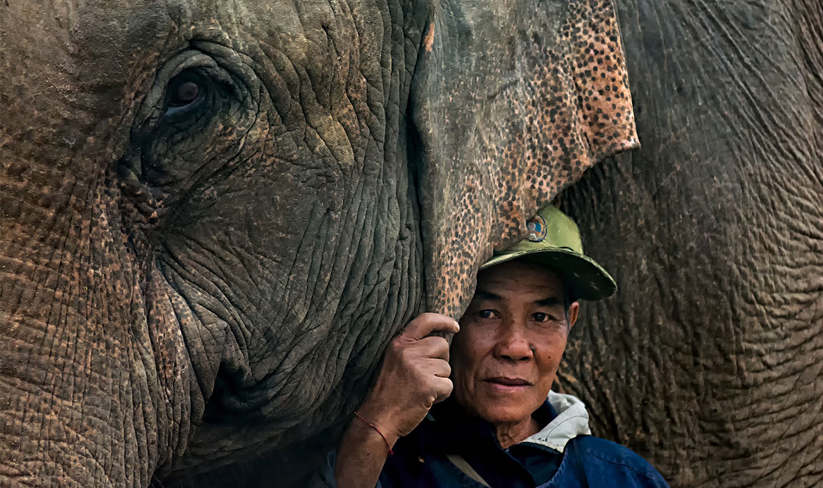 Manh_with_her_Mahout_Vee2(Photo_credit_Paul_Wager)