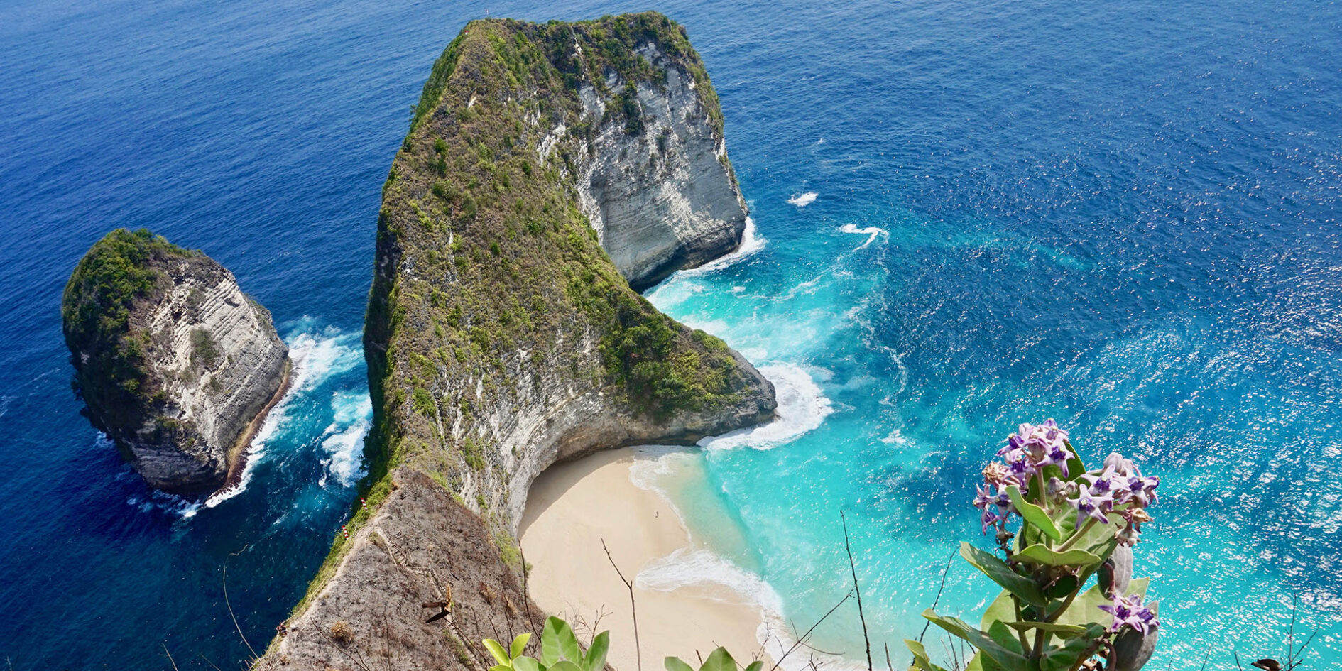 What Shots Do You Need For Bali