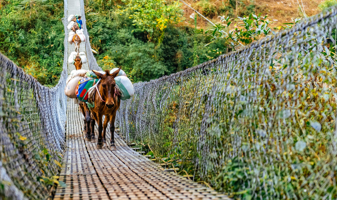 bridge-in-Nepal
