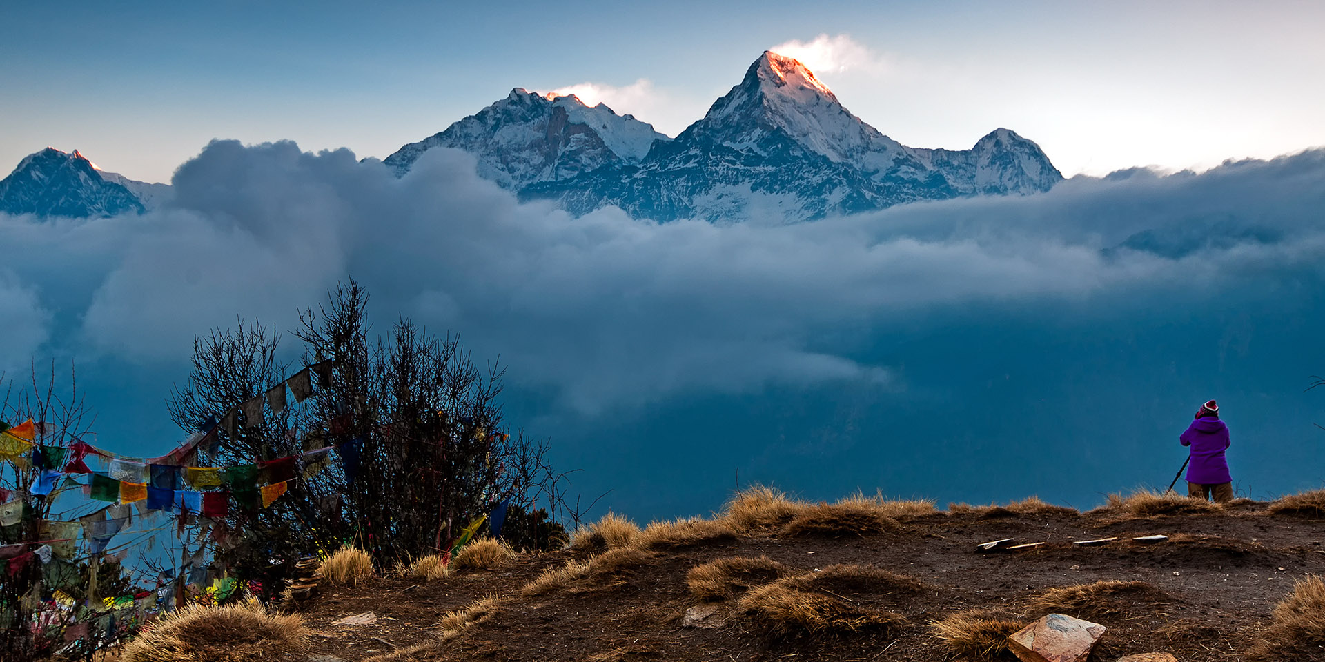 Poon hill deals