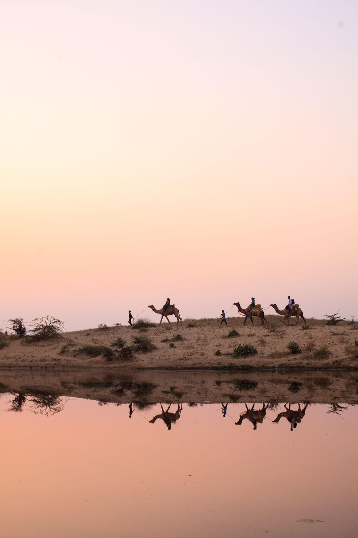 11---Camel-reflections-at-sunet