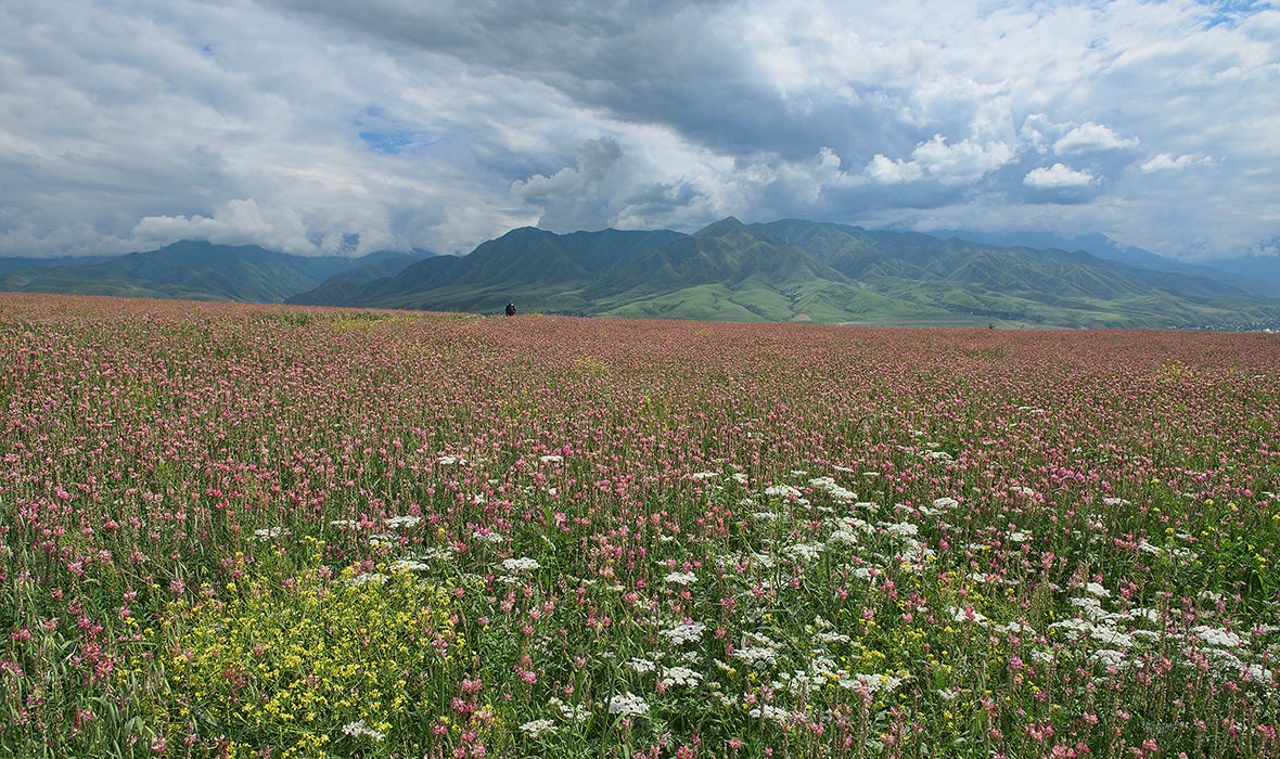 Kyrgyzstan-5