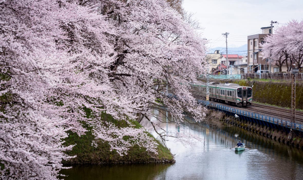4 Yamagata Cherry Blossom Sites You Won’t Want to Miss This Spring