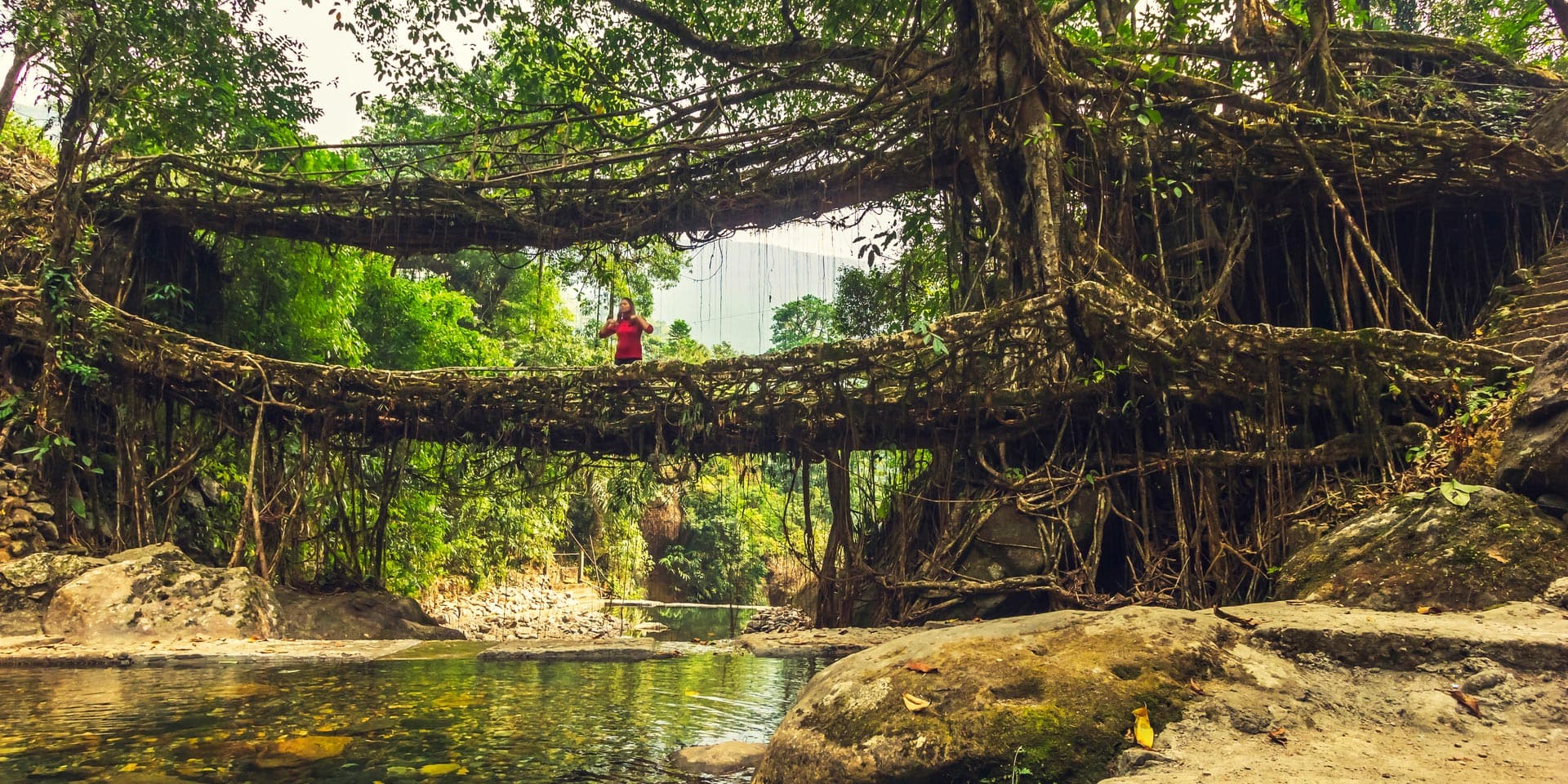 Mockingbird lemmer Fange A Nature Lover's Guide to Meghalaya - Travelogues from Remote Lands