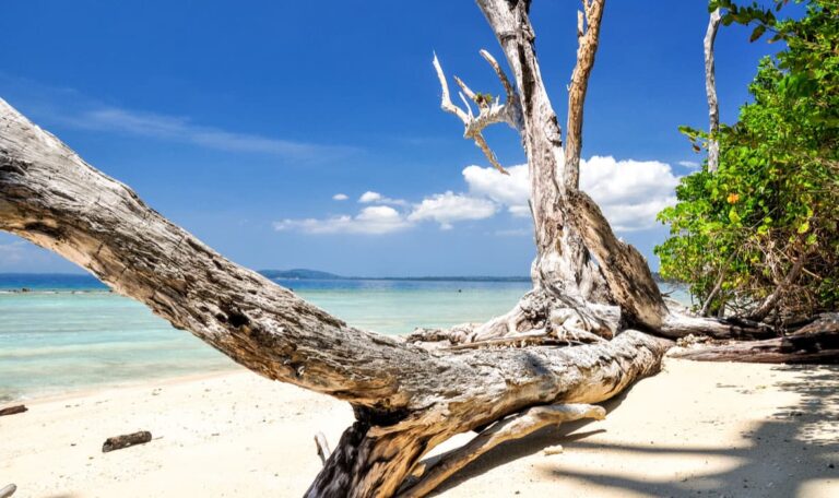 Elephant Beach on the Andaman and Nicobar Islands.