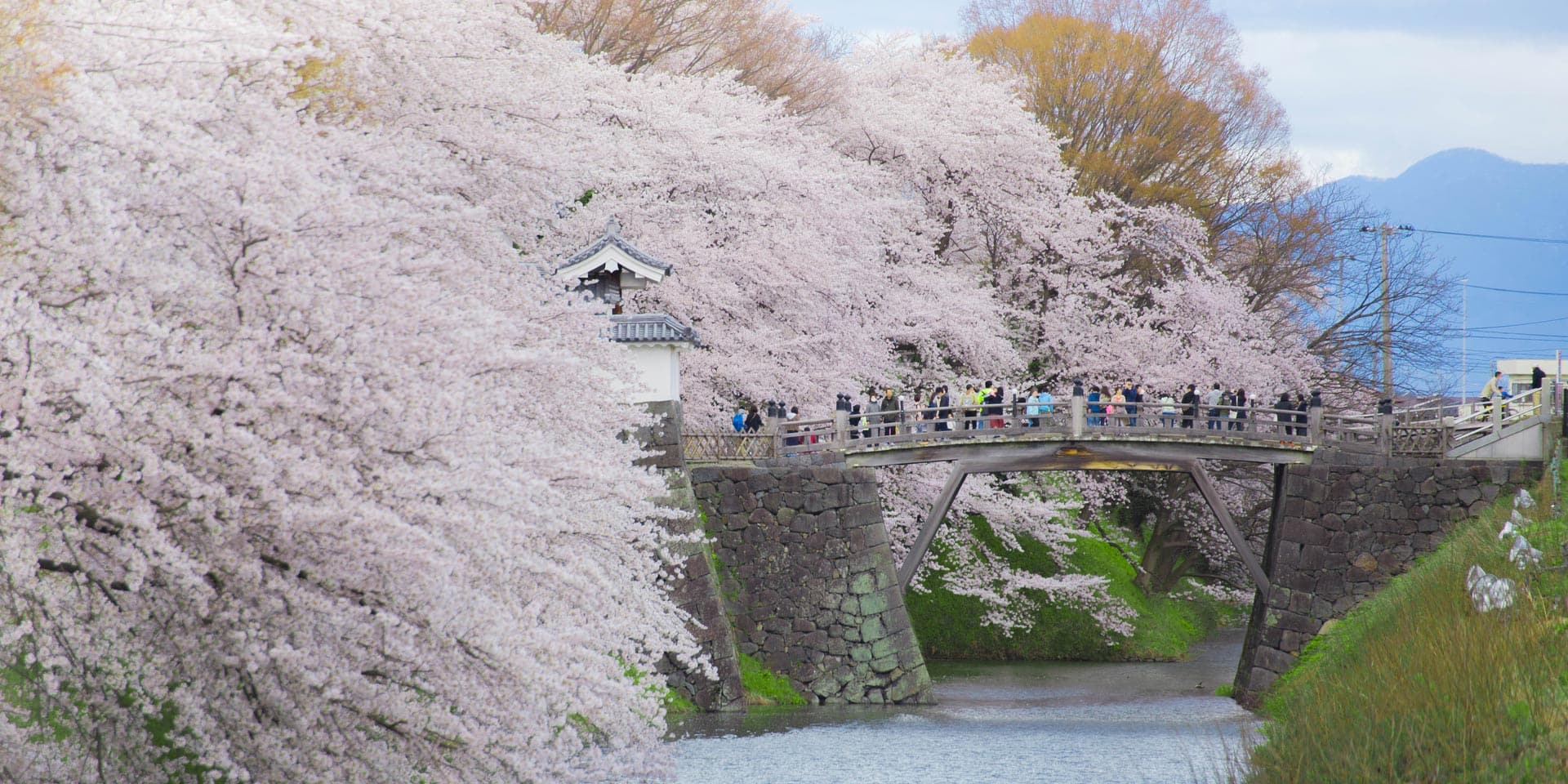 4 Yamagata Cherry Blossom Sites You Won’t Want to Miss This Spring