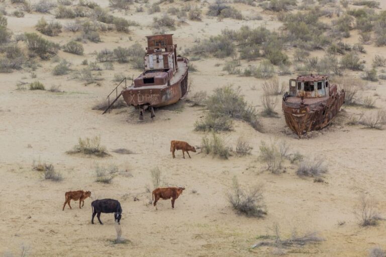 The abandoned desert ships of the Aral Sea disaster.